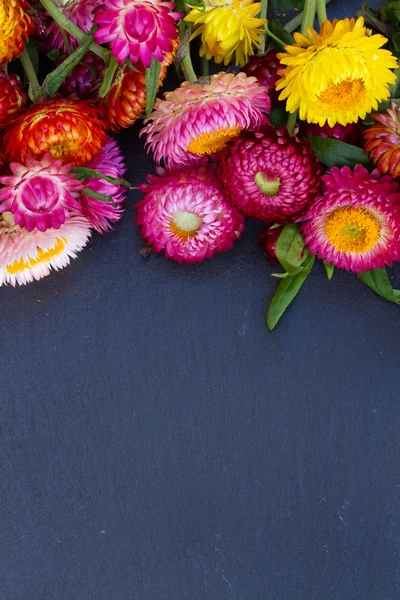 Bouquet di fiori eterni — Foto Stock