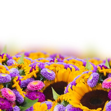 Karışık Çiçekli sonbahar