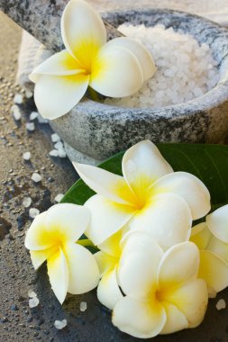 Spa ve sağlık seti