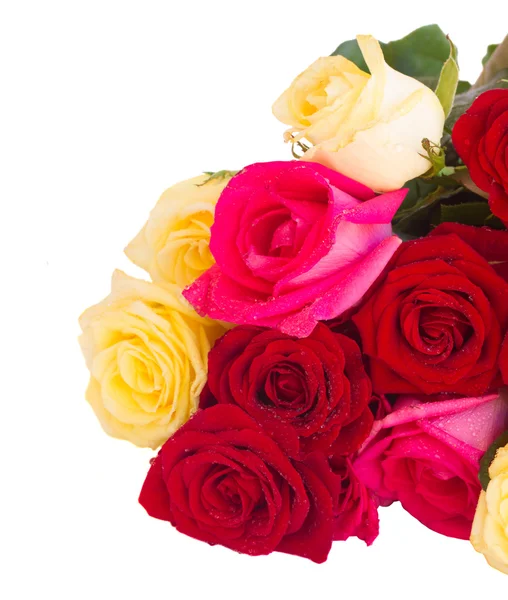 Букет свежих разноцветных роз — стоковое фото