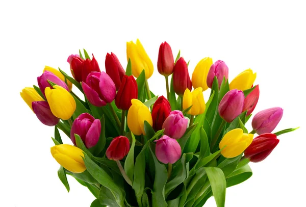 Flores de tulipanes rosados, amarillos y violetas —  Fotos de Stock