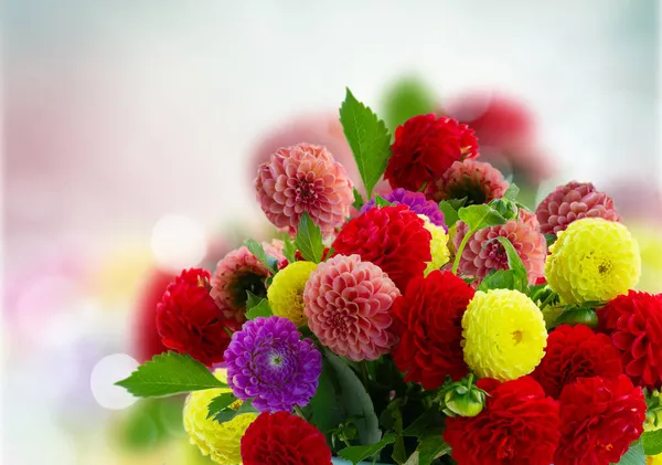 Dahlie Frische Gemischte Blumen Strauß Auf Defokussierten Herbst Garten Hintergrund — Stockfoto