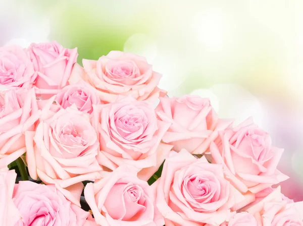 在景花园背景粉红色盛开的玫瑰 — 图库照片