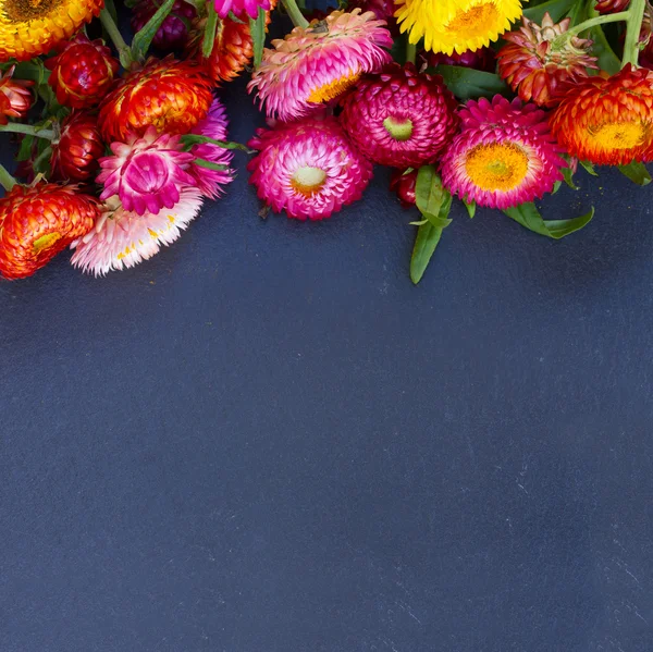 Boeket van eeuwigdurende bloemen — Stockfoto