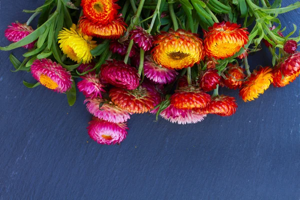 Bouquet di fiori eterni — Foto Stock
