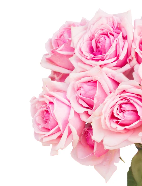 Bouquet of fresh pink roses close up — Stock Photo, Image