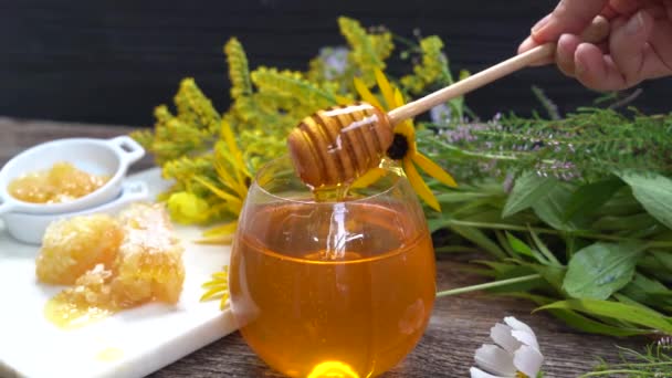 Frischer Honig mit Waben — Stockvideo