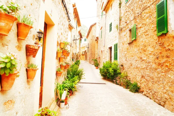 Strada Nel Centro Storico Valdemossa Con Vasi Fiori Tradizionali Maiorca — Foto Stock