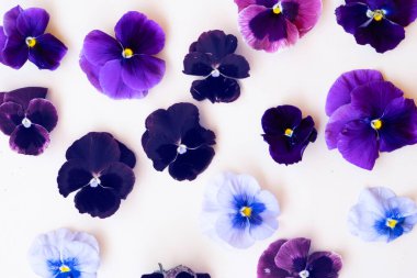 Homoseksüellerin stili