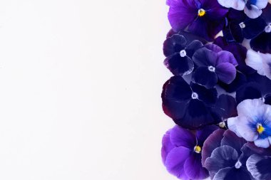 Homoseksüellerin stili