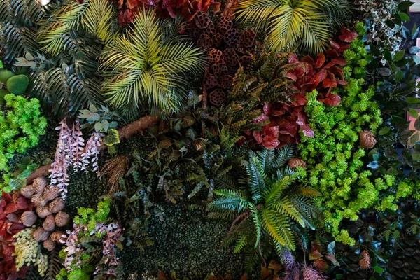 Yeşillik ve tropik bitkilerin yapraklarından oluşan doğal arkaplan