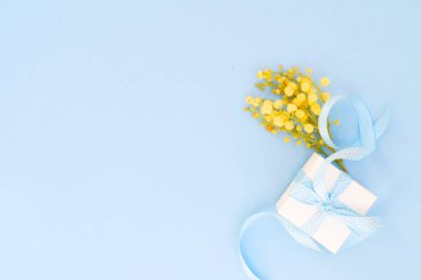 Mavi arkaplanda Mimosa çiçekleri