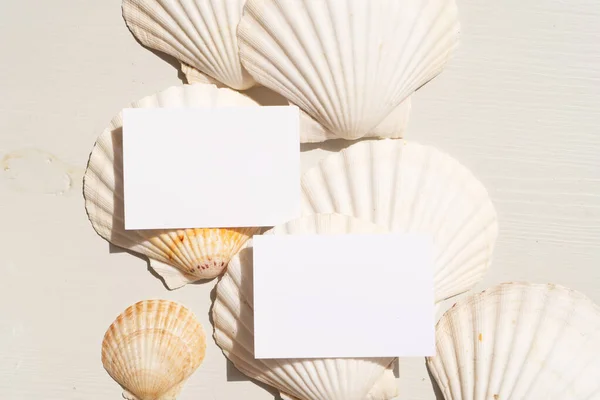 貝殻の形をした株式シーン — ストック写真