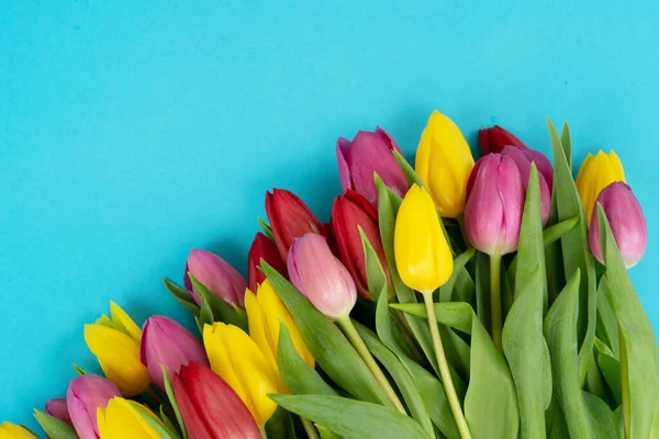 Flores de tulipanes rosados, amarillos y violetas — Foto de Stock