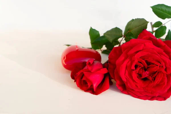 Rose rosse scure sul tavolo — Foto Stock