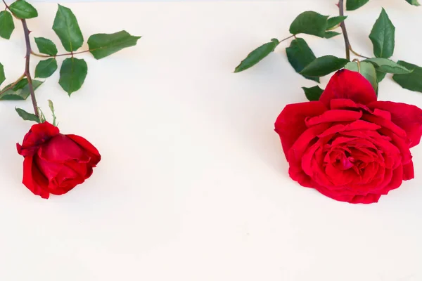 Dark red roses on table — Stock Photo, Image