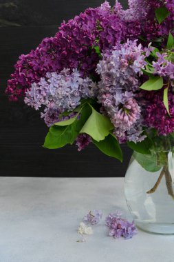 Suluboya arka planda leylak çiçekleri