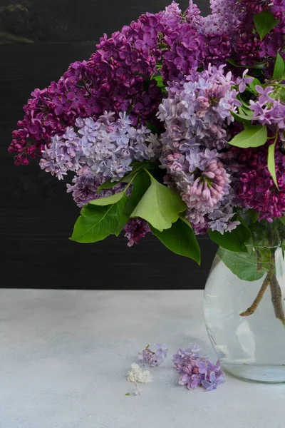 Lilac blommor på akvarell bakgrund — Stockfoto