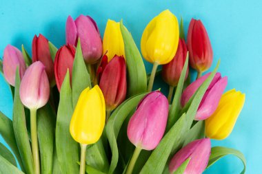 Pembe, porsuk ve mor lale çiçekleri.