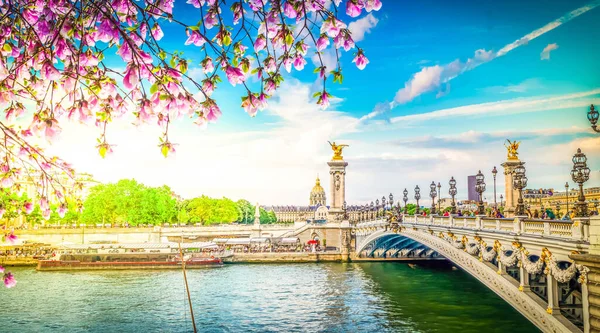 Alexandre Köprüsü III, Paris, Fransa — Stok fotoğraf