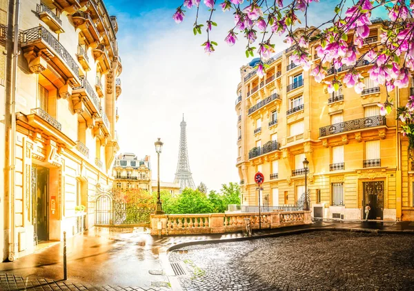 Tour eiffel y la calle Paris —  Fotos de Stock