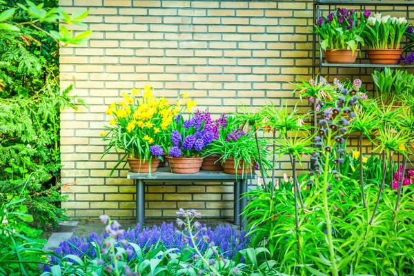 カラフルなお花屋さん — ストック写真