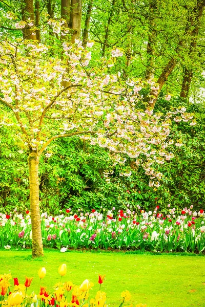 Formal spring garden — Stock Photo, Image