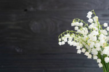 Suluboya arka planda Vadili Lilly