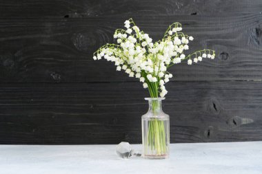 Suluboya arka planda Vadili Lilly