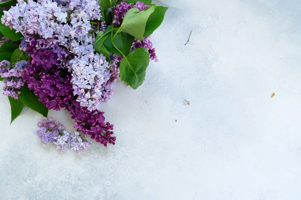 Flieder Blumen auf Aquarell Hintergrund — Stockfoto