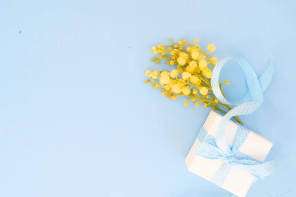 Mimosa flowers on blue background — Stock Photo, Image