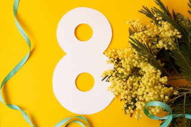 Mimosa taze çiçekleri