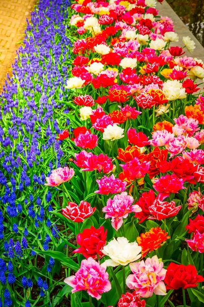 Čerstvý trávník s květinami — Stock fotografie