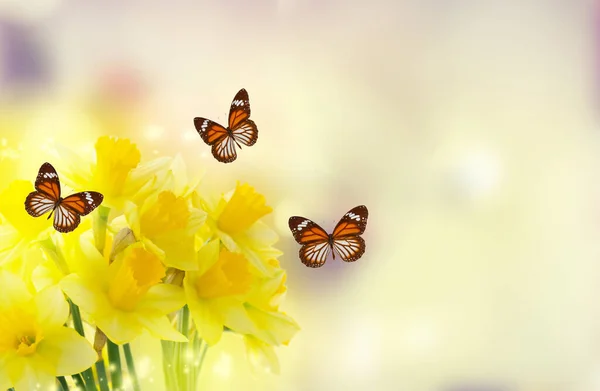 Ramo de flores de narcisos — Foto de Stock