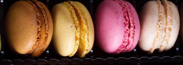 Macarons biscuits sur rose — Photo