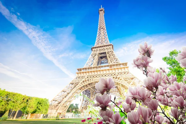 Eiffel tour a Paris cityscape — Stock fotografie