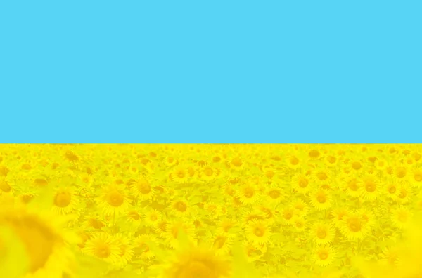 In Solidarität mit der Ukraine. Ruhm für die Ukraine — Stockfoto