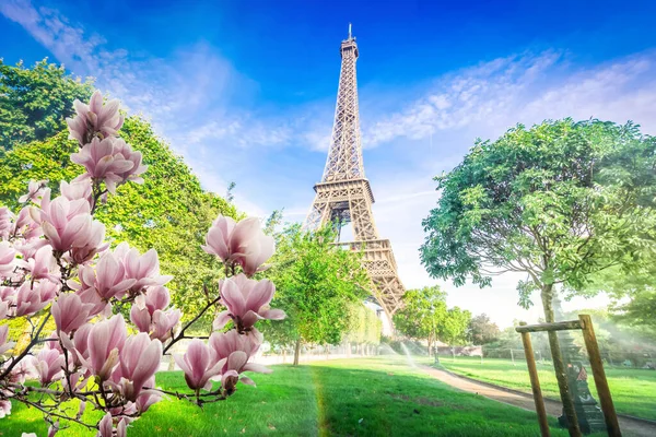 Eiffel tour a Paris cityscape — Stock fotografie