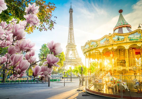 Eiffel tour a z Trocadera v Paříži — Stock fotografie