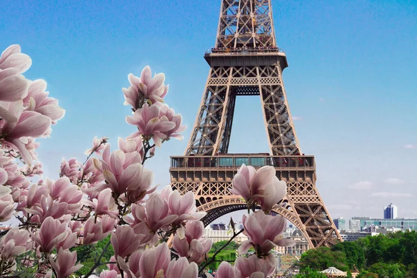 Eiffel-torony és párizsi városkép — Stock Fotó