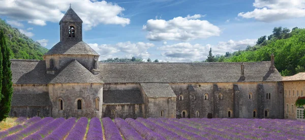 프랑스의 수도원 세난 케와 라벤더 밭 — 스톡 사진