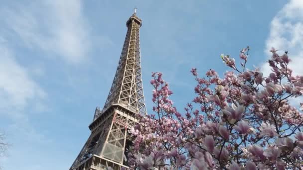Eiffel tour и из Trocadero, Париж — стоковое видео