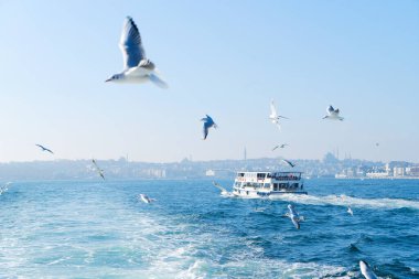 İstanbul Silueti, Türkiye
