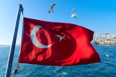 İstanbul Silueti, Türkiye
