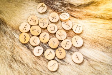 Kurt kürkünün üzerinde odun aramak için el yapımı mühürler.