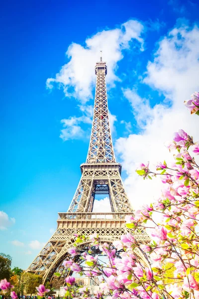 Eiffeltoren Zonnige Lentedag Met Magnolia Parijs Frankrijk — Stockfoto