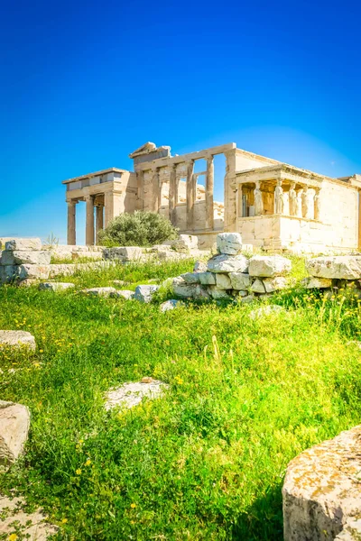 Chrám Erechtheion Zelenou Trávou Nad Jasně Modrou Oblohou Akropoli Aténách — Stock fotografie