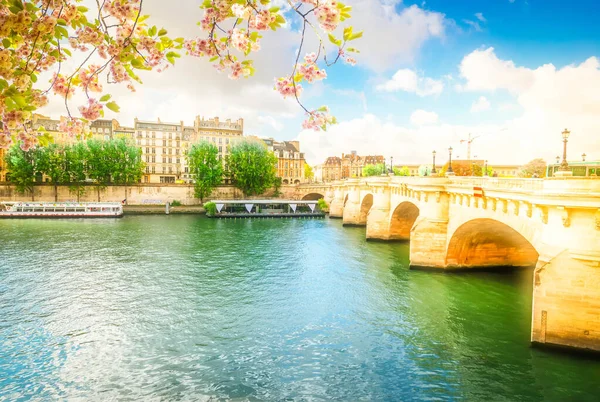 Pont neuf, paris, Fransa