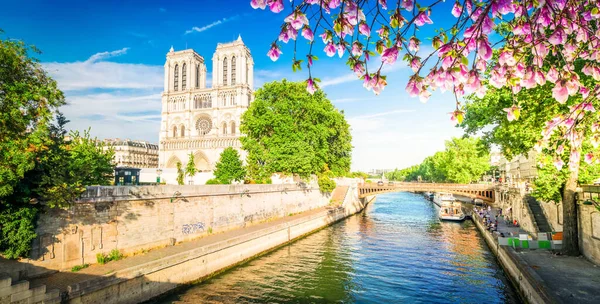 Katedrála Notre Dame, Paříž Francie — Stock fotografie