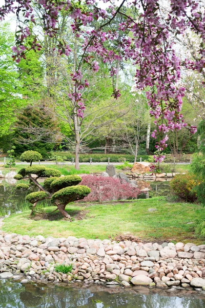 Botanisk trädgård i Wroclaw, Polen — Stockfoto